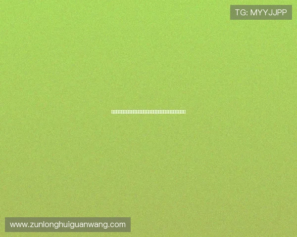 新西兰与比利时控球战术对比：世界杯赛场上的战术执行与优势解析